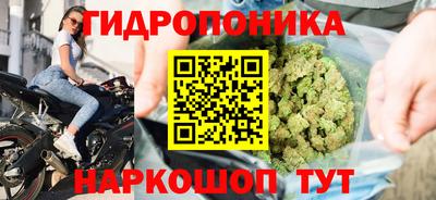 герыч Новозыбков