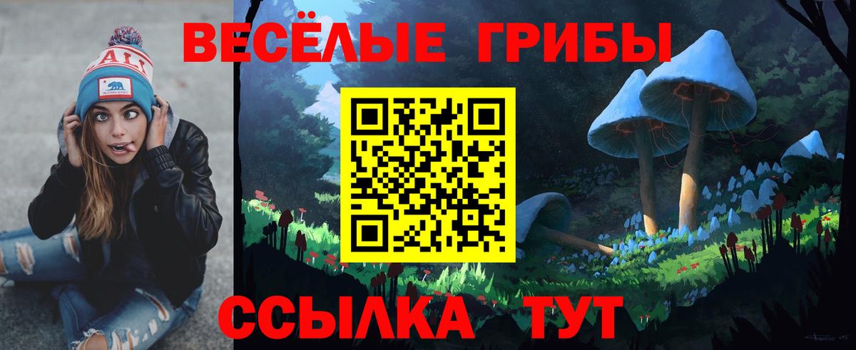 Галлюциногенные грибы ЛСД Тобольск